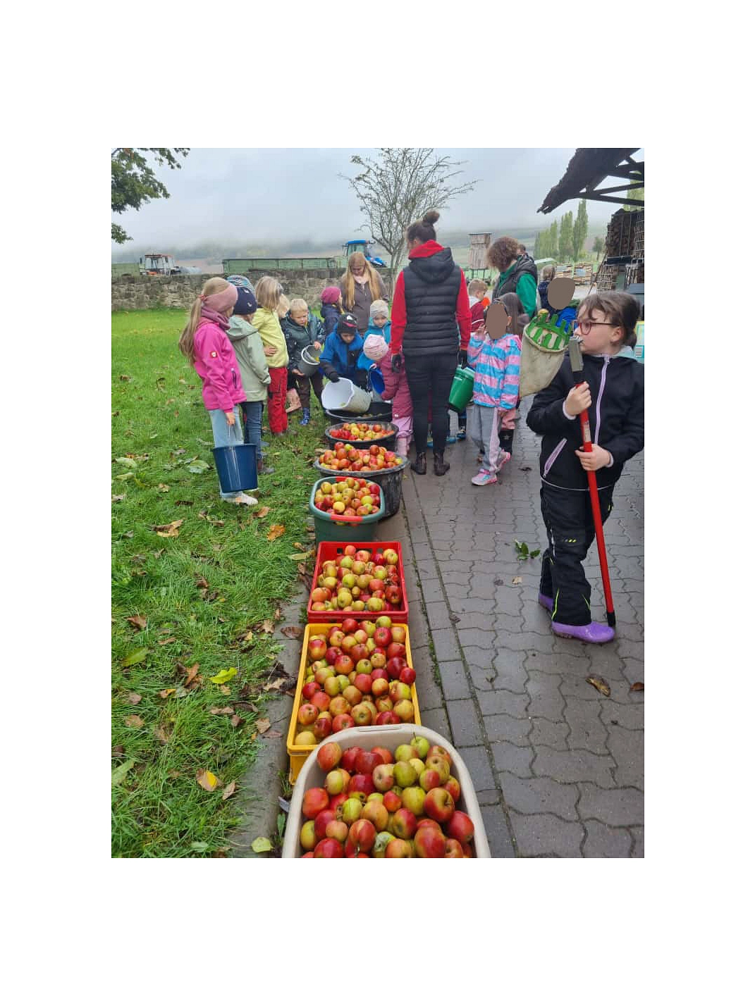 Äpfel 2025 11.jpg&nbsp;&copy;&nbsp;Ilsetalschule