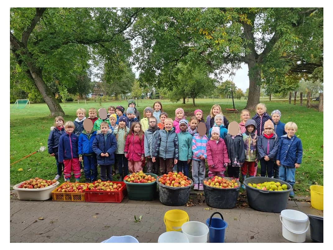 Äpfel 2025 12.jpg&nbsp;&copy;&nbsp;Ilsetalschule