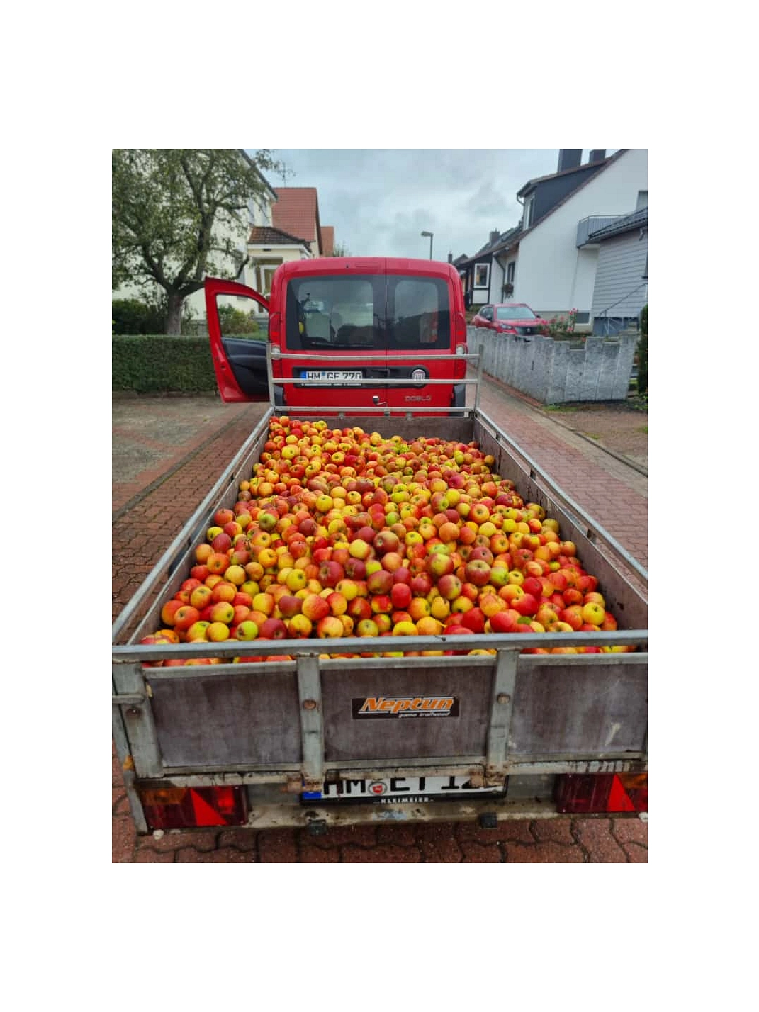 Äpfel 2025 13.jpg&nbsp;&copy;&nbsp;Ilsetalschule