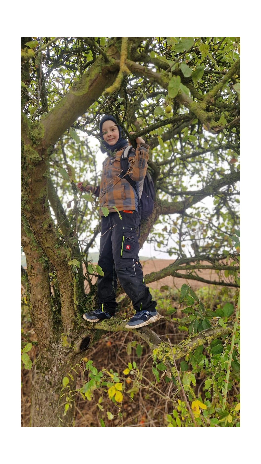 Äpfel 2025 2.jpg&nbsp;&copy;&nbsp;Ilsetalschule