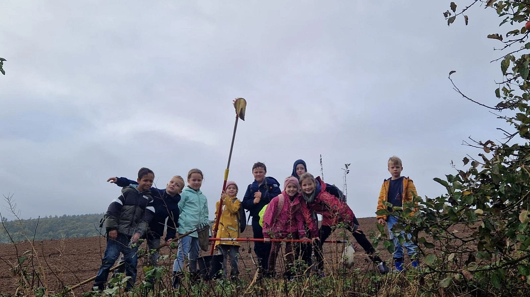 Äpfel 2025 5.jpg&nbsp;&copy;&nbsp;Ilsetalschule