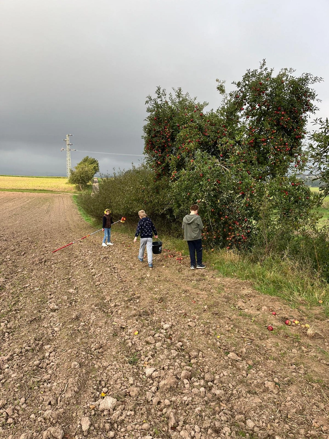 Äpfel pflücken 11.jpeg&nbsp;&copy;&nbsp;Ilsetalschule