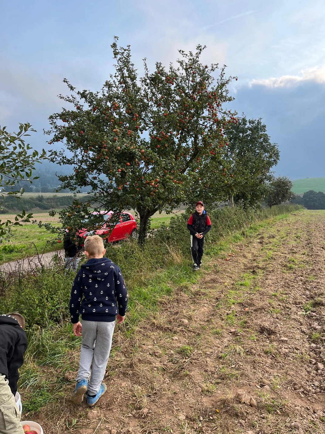 Äpfel pflücken 12.jpeg&nbsp;&copy;&nbsp;Ilsetalschule