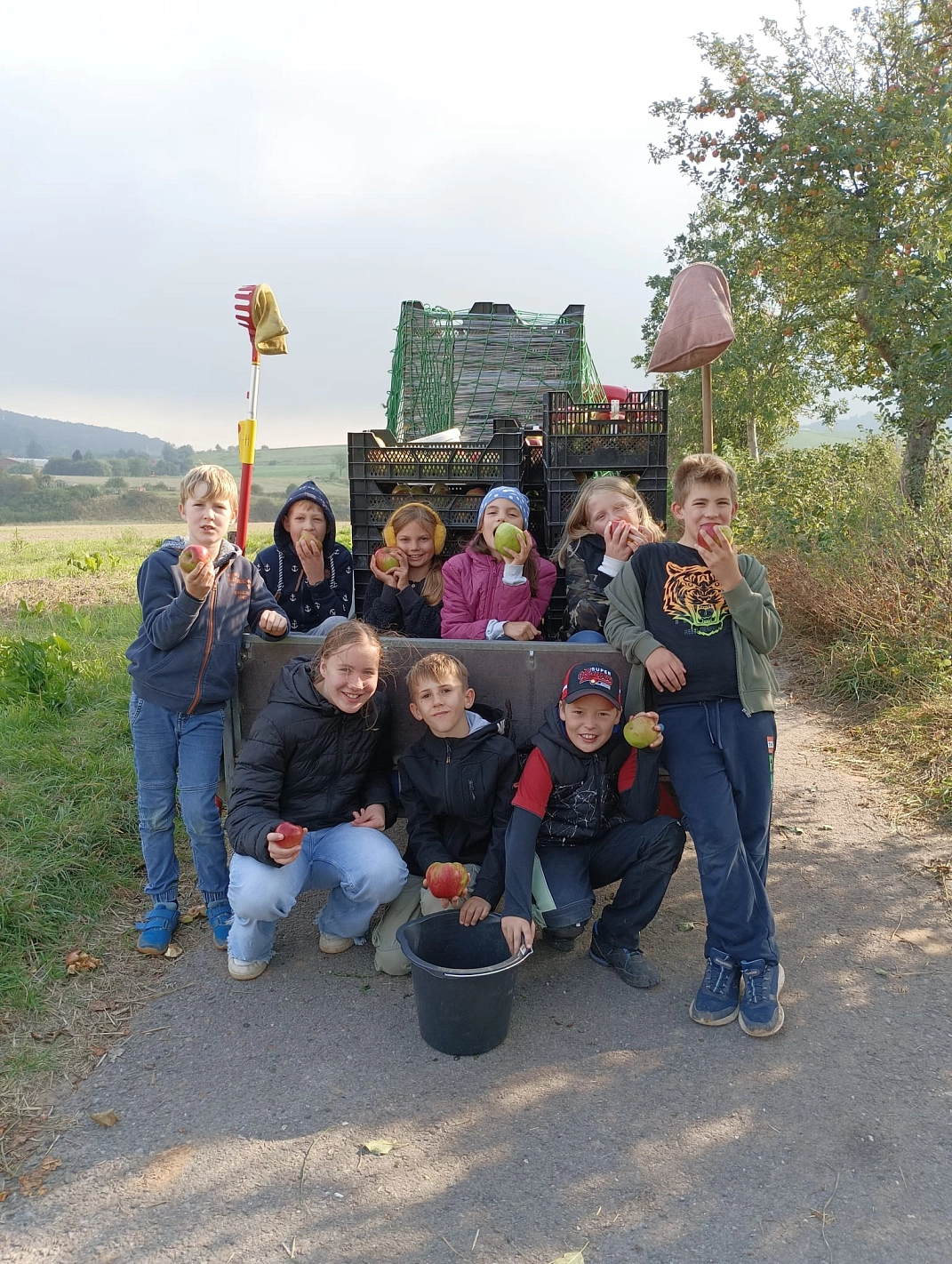 Äpfel pflücken 16.jpeg&nbsp;&copy;&nbsp;Ilsetalschule