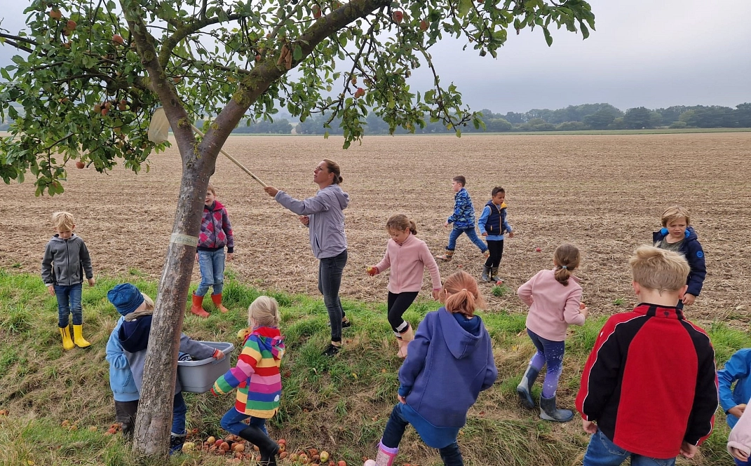 Äpfel pflücken 4.jpeg&nbsp;&copy;&nbsp;Ilsetalschule
