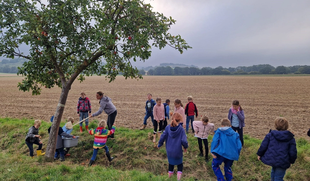 Äpfel pflücken 5.jpeg&nbsp;&copy;&nbsp;Ilsetalschule