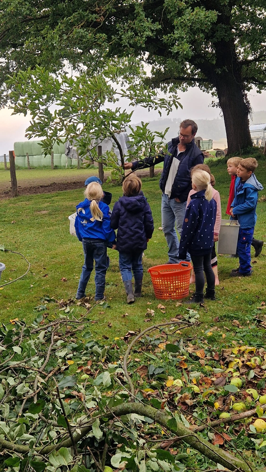 Äpfel pflücken 6.jpeg&nbsp;&copy;&nbsp;Ilsetalschule