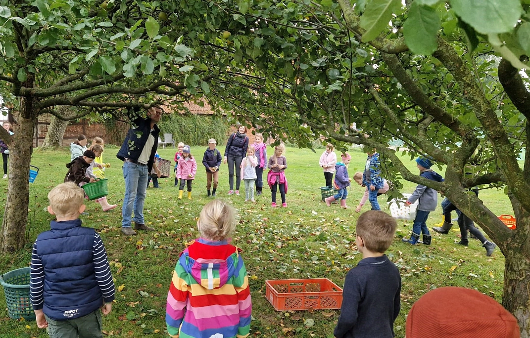Äpfel pflücken 8.jpg&nbsp;&copy;&nbsp;Ilsetalschule