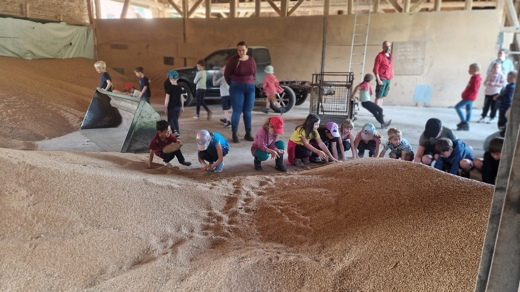 Bauernhof 10.jpeg&nbsp;&copy;&nbsp;Ilsetalschule