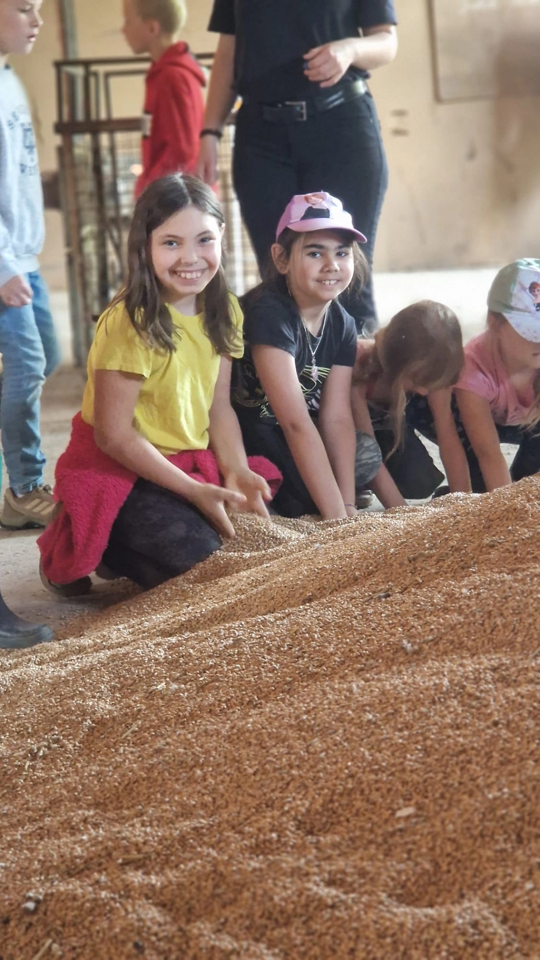 Bauernhof 11.jpeg&nbsp;&copy;&nbsp;Ilsetalschule