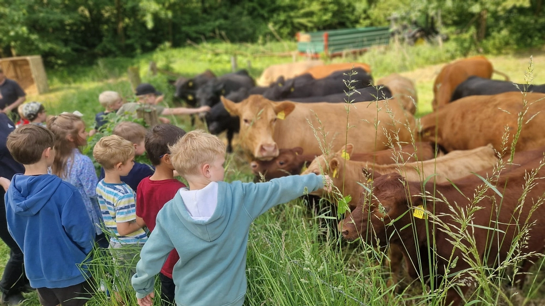 Bauernhof 13.jpeg&nbsp;&copy;&nbsp;Ilsetalschule