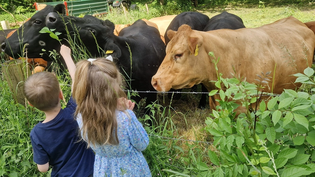 Bauernhof 15.jpeg&nbsp;&copy;&nbsp;Ilsetalschule