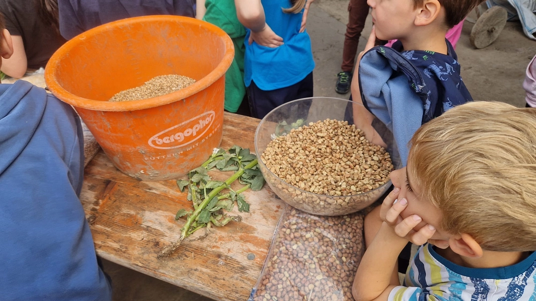 Bauernhof 2.jpeg&nbsp;&copy;&nbsp;Ilsetalschule