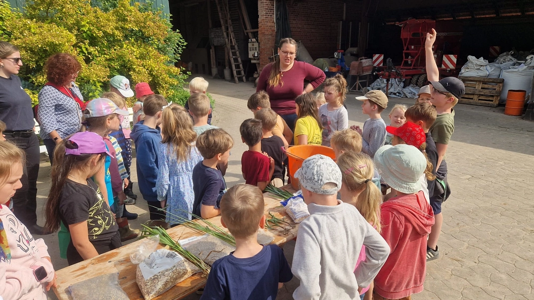 Bauernhof 4.jpeg&nbsp;&copy;&nbsp;Ilsetalschule