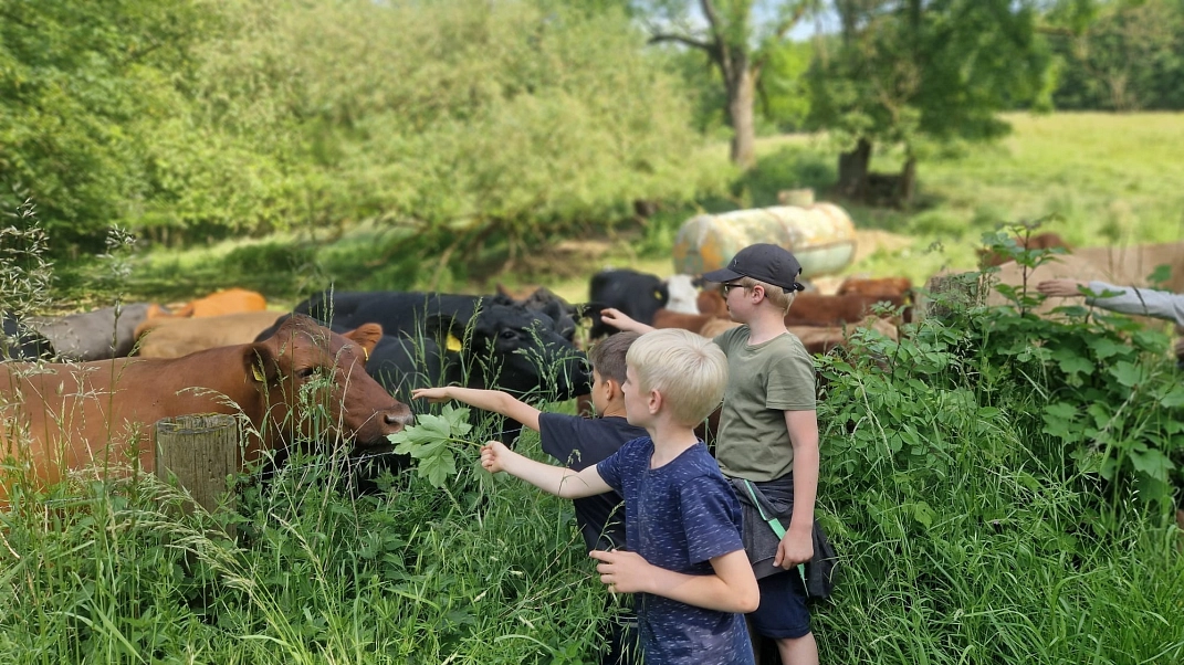 Bauernhof 6.jpeg&nbsp;&copy;&nbsp;Ilsetalschule