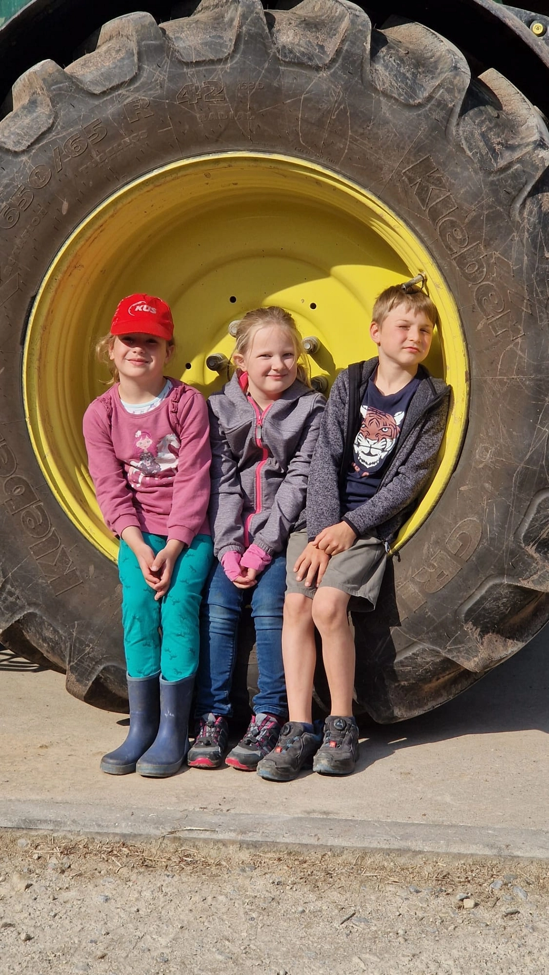 Bauernhof 8.jpeg&nbsp;&copy;&nbsp;Ilsetalschule