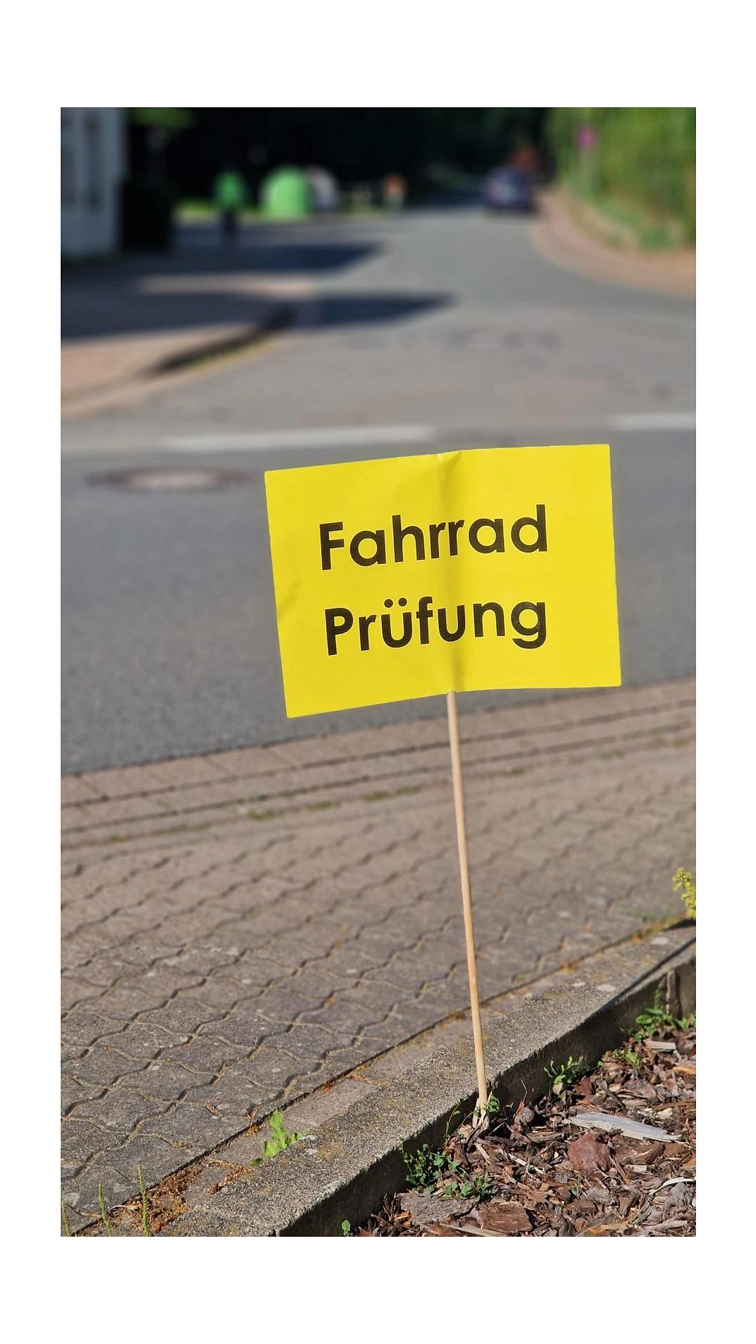 F 4.jpg&nbsp;&copy;&nbsp;Ilsetalschule