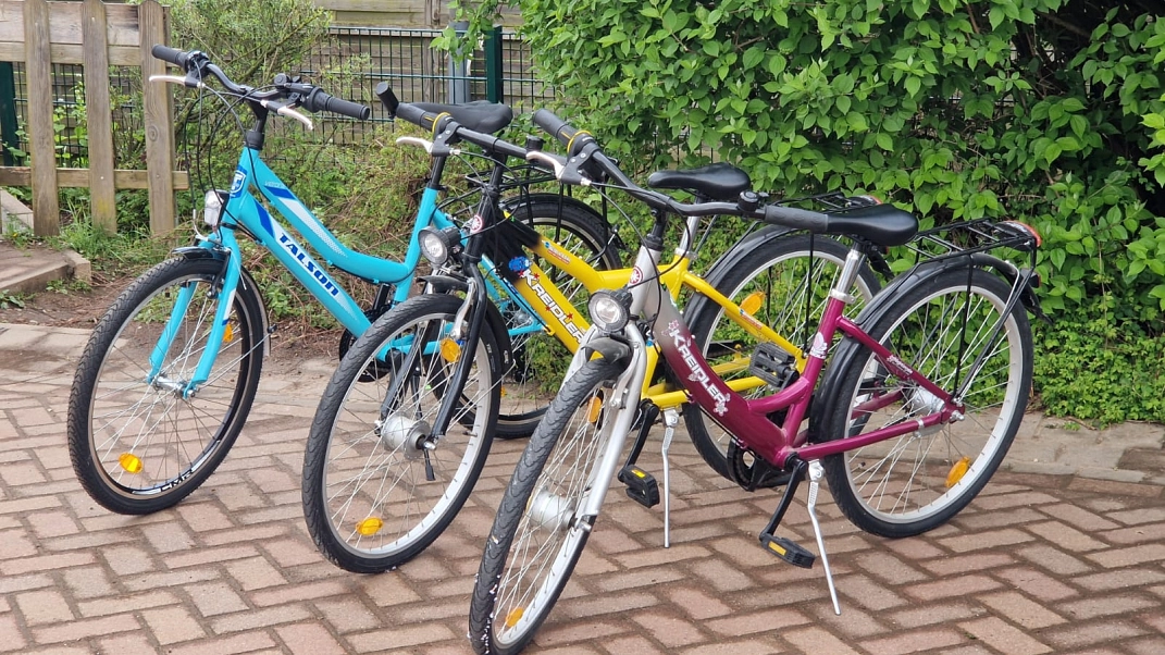 Fahrräder vor einer Hecke&nbsp;&copy;&nbsp;Ilsetalschule