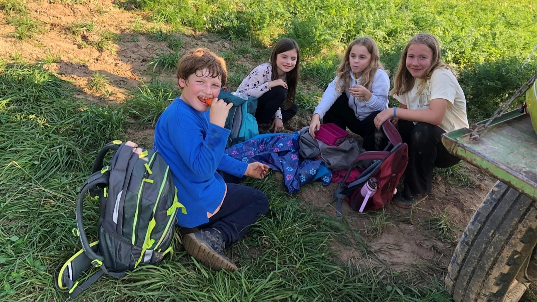 Feld Möhrenessen 1 .jpg&nbsp;&copy;&nbsp;Ilsetalschule