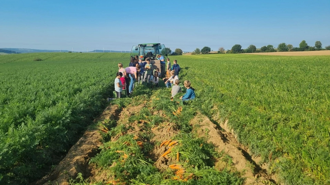 Feld Trecker 1 .jpg&nbsp;&copy;&nbsp;Ilsetalschule