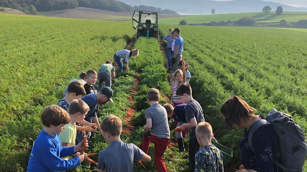 Feld Trecker 3.jpg&nbsp;&copy;&nbsp;Ilsetalschule