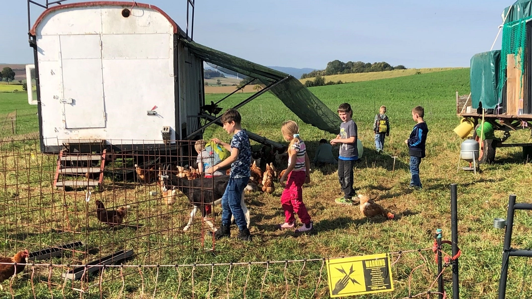 Hühner 1.jpg&nbsp;&copy;&nbsp;Ilsetalschule