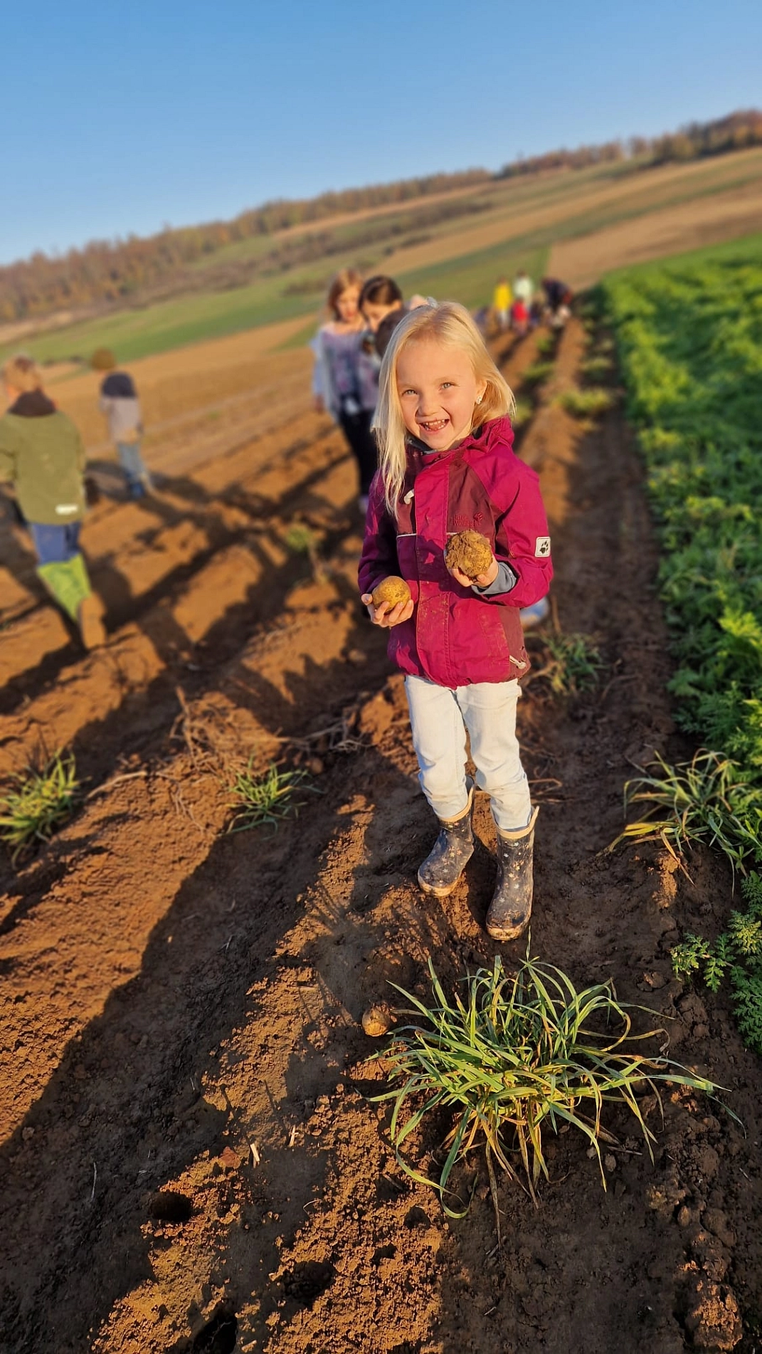 Kartoffeln 14.jpg&nbsp;&copy;&nbsp;Ilsetalschule