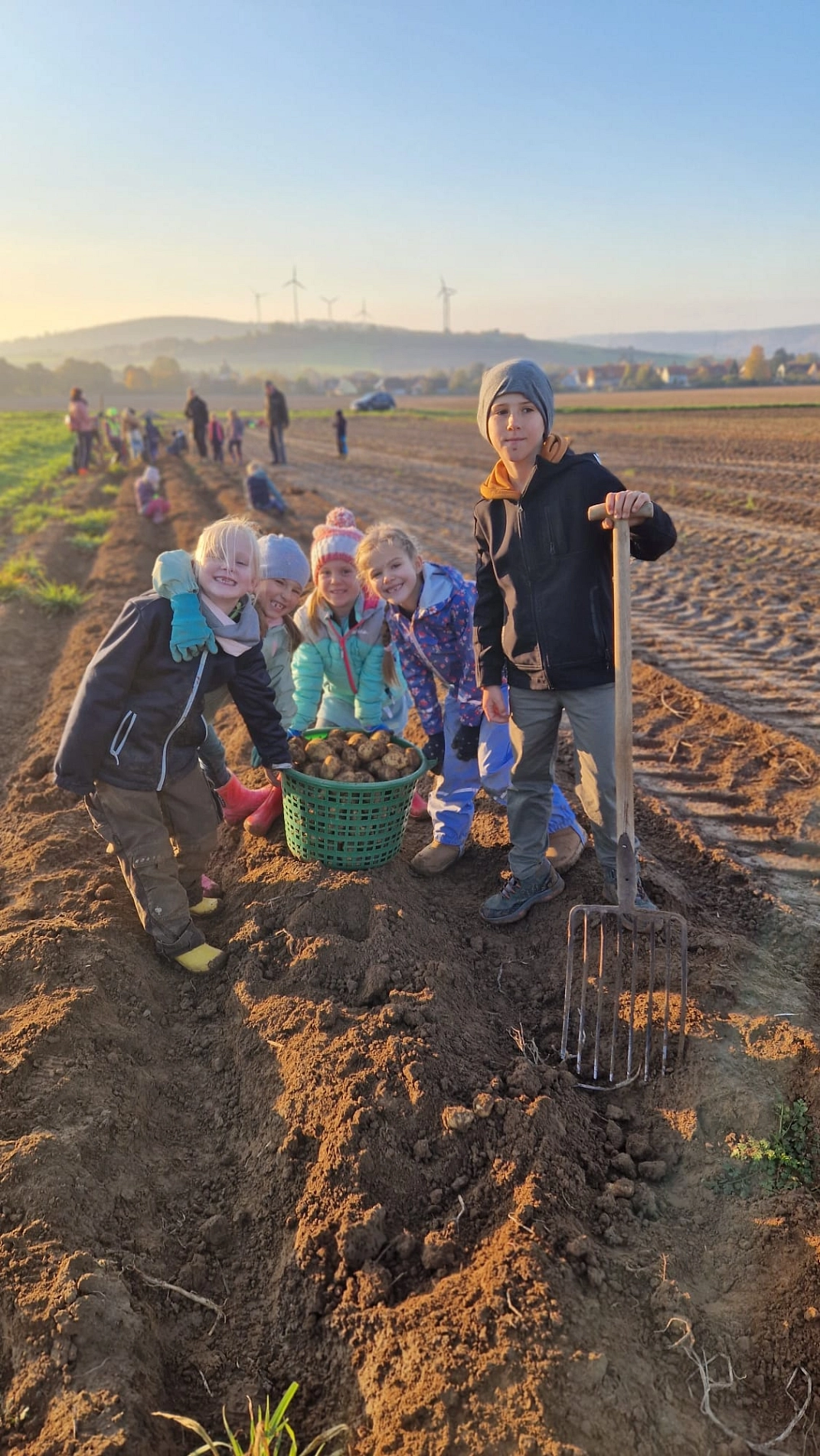 Kartoffeln 15.jpg&nbsp;&copy;&nbsp;Ilsetalschule