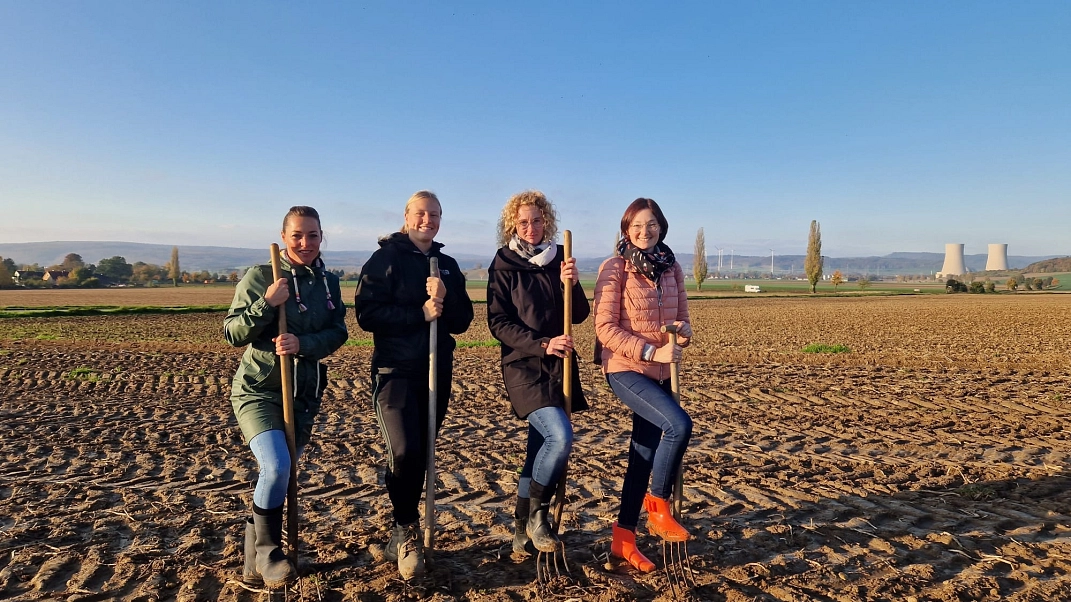 Kartoffeln 17.jpg&nbsp;&copy;&nbsp;Ilsetalschule