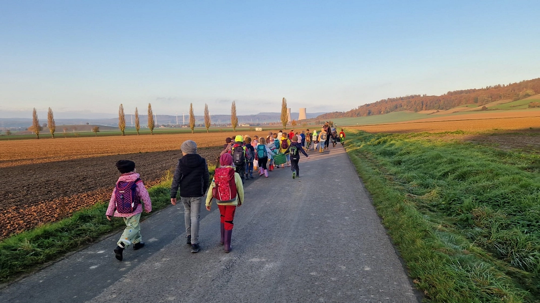 Kartoffeln 18.jpg&nbsp;&copy;&nbsp;Ilsetalschule