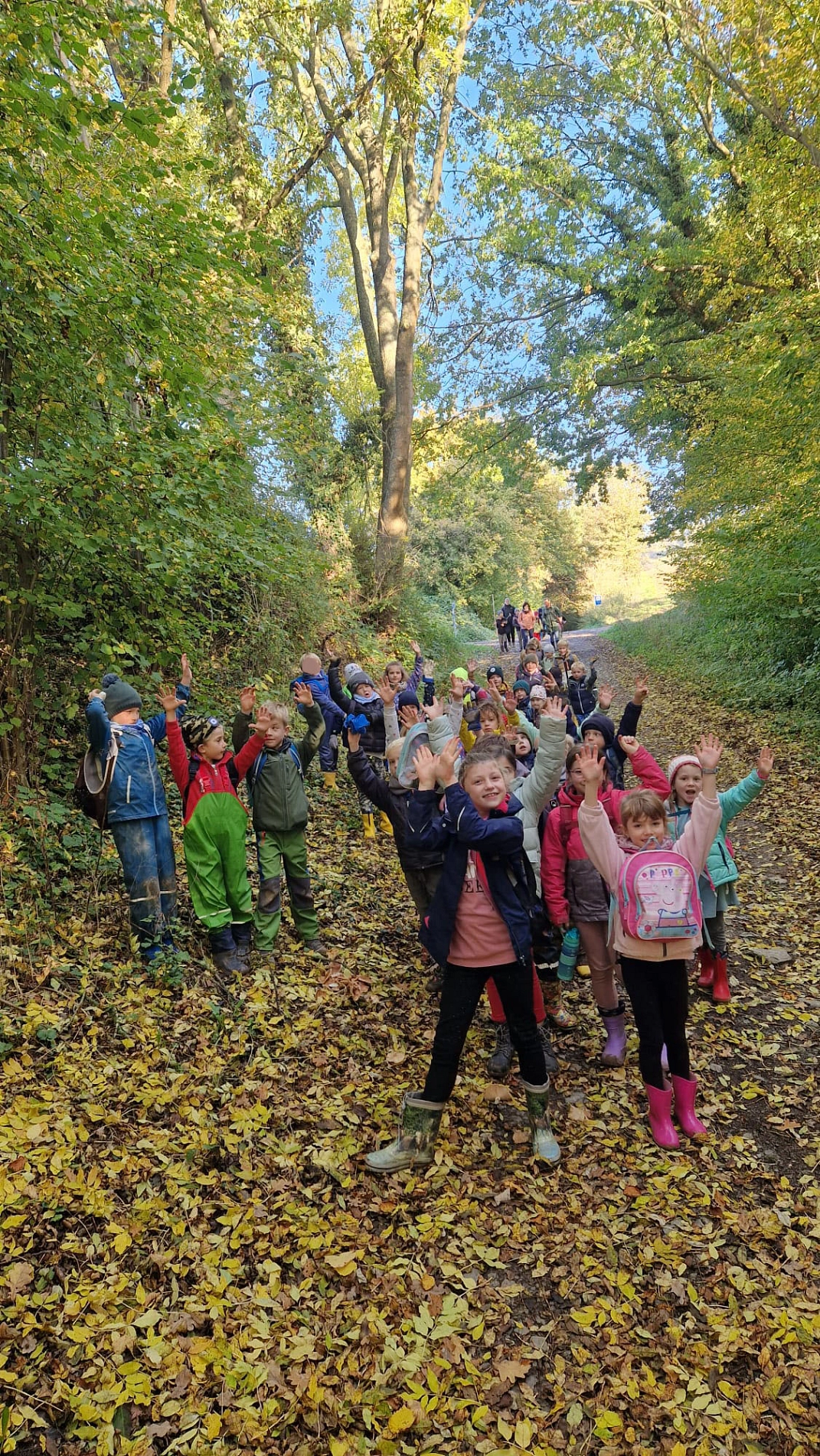 Kartoffeln 1.jpg&nbsp;&copy;&nbsp;Ilsetalschule