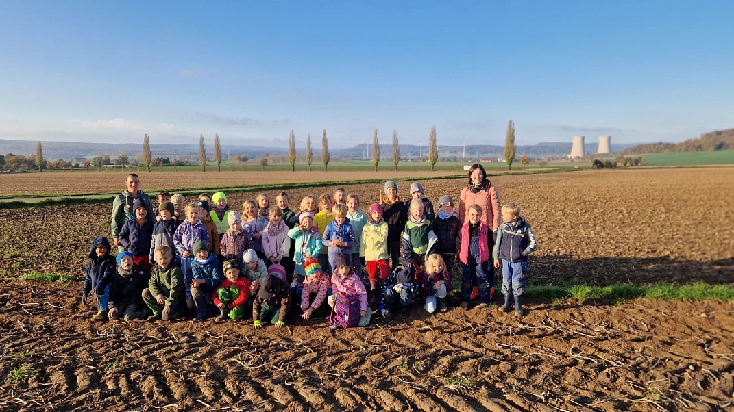 Kartoffeln 2.jpg&nbsp;&copy;&nbsp;Ilsetalschule