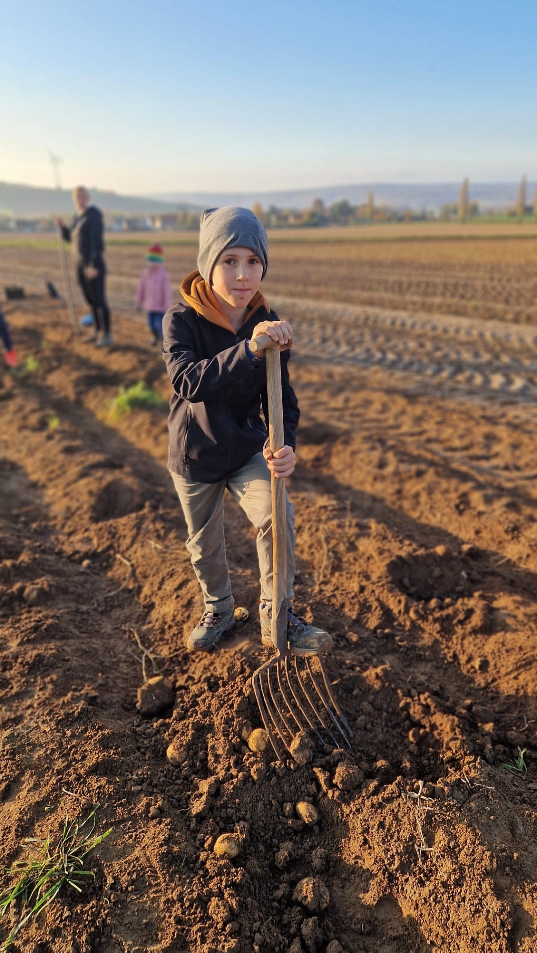 Kartoffeln 3.jpg&nbsp;&copy;&nbsp;Ilsetalschule