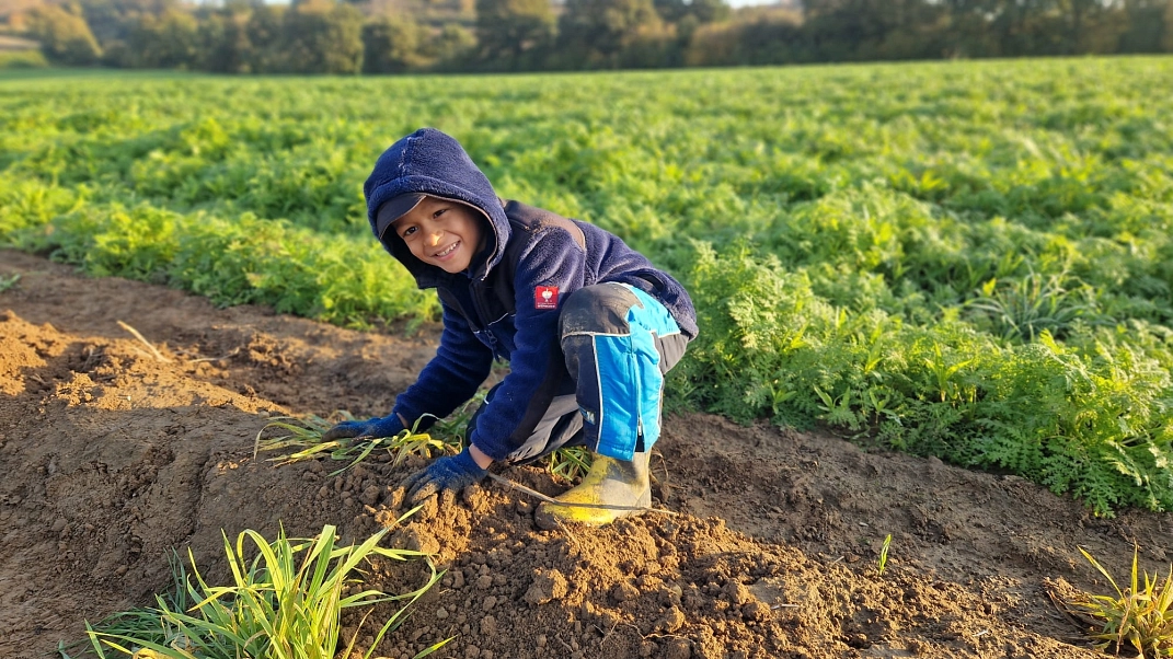 Kartoffeln 4.jpg&nbsp;&copy;&nbsp;Ilsetalschule