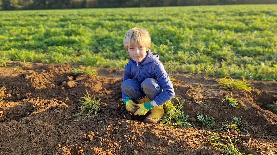 Kartoffeln 6.jpg&nbsp;&copy;&nbsp;Ilsetalschule