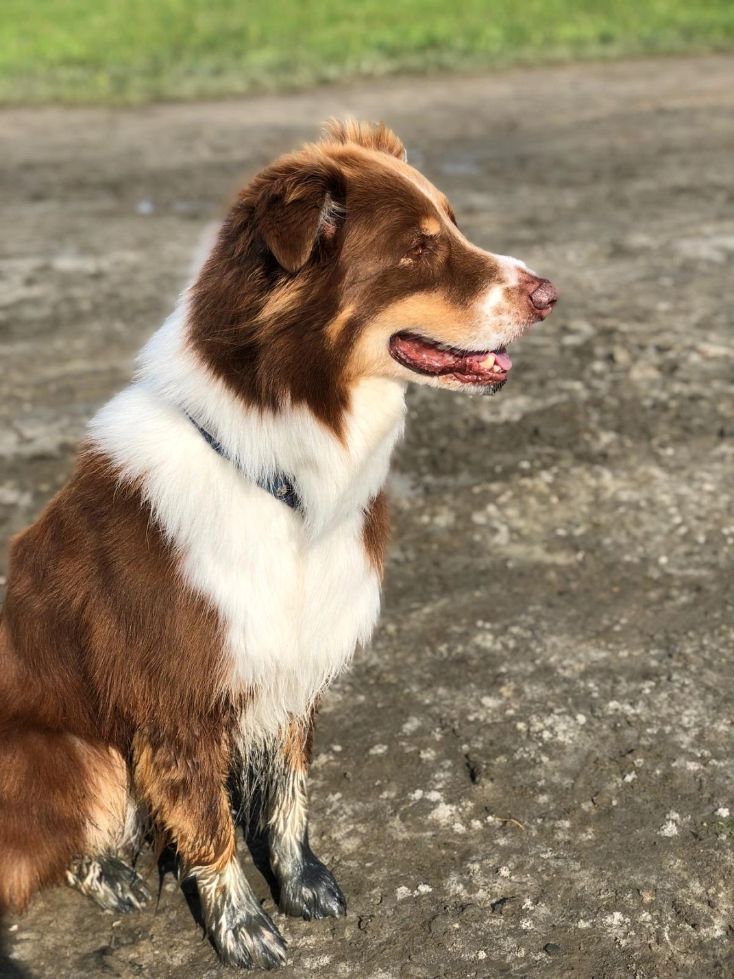 Klassenfahrt 21.jpg&nbsp;&copy;&nbsp;Ilsetalschule