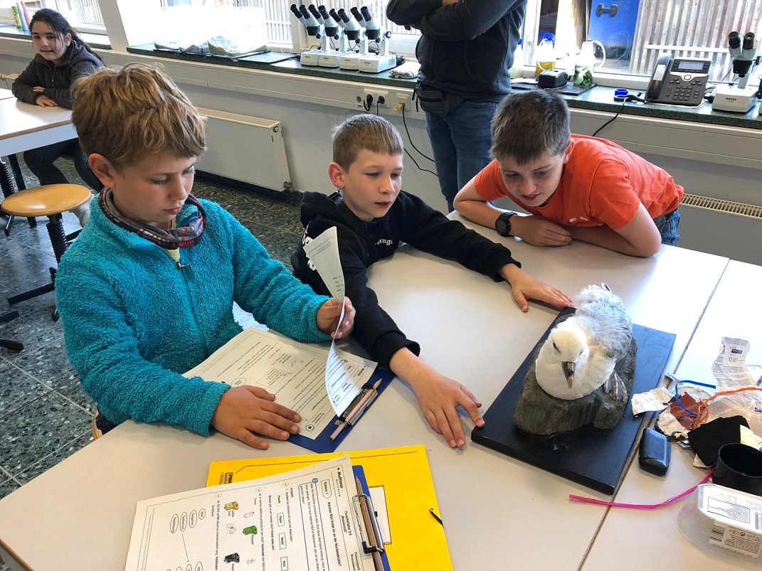 Klassenfahrt 8.jpg&nbsp;&copy;&nbsp;Ilsetalschule