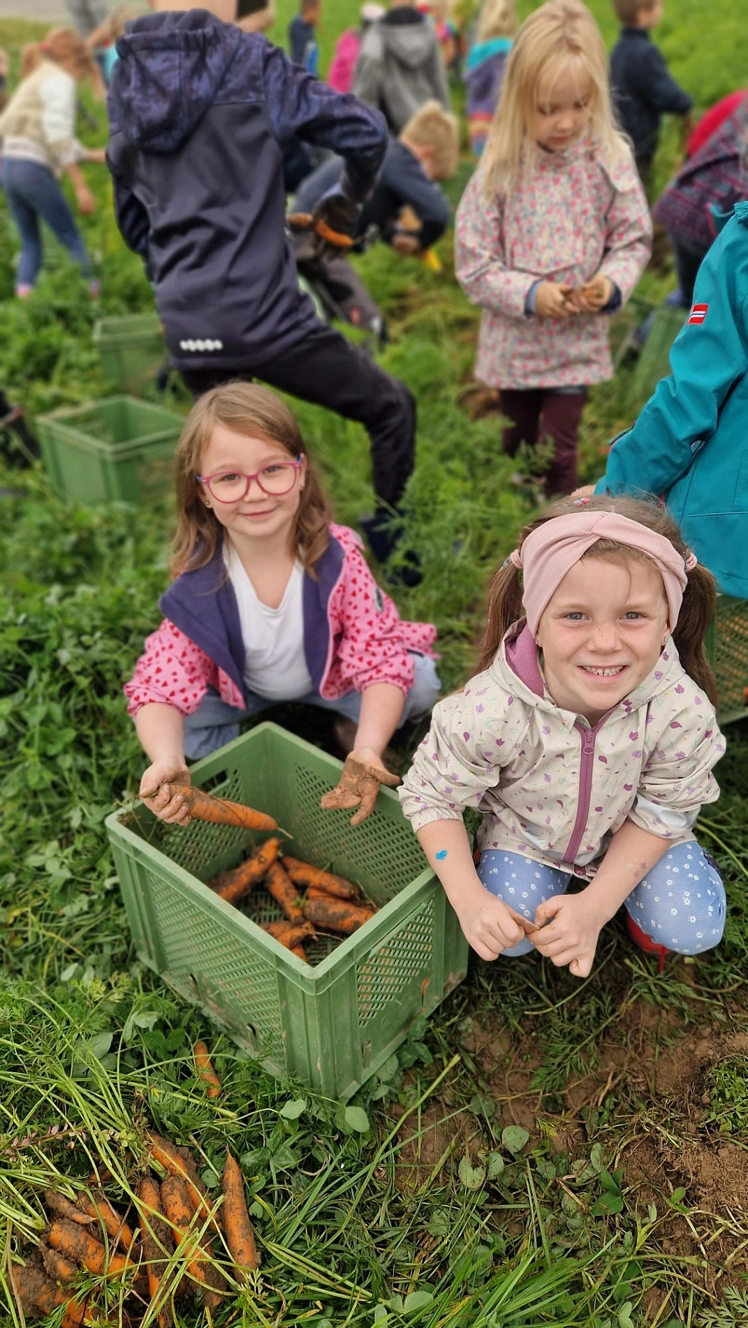 Marienhof 2024 (12).jpeg&nbsp;&copy;&nbsp;Ilsetalschule