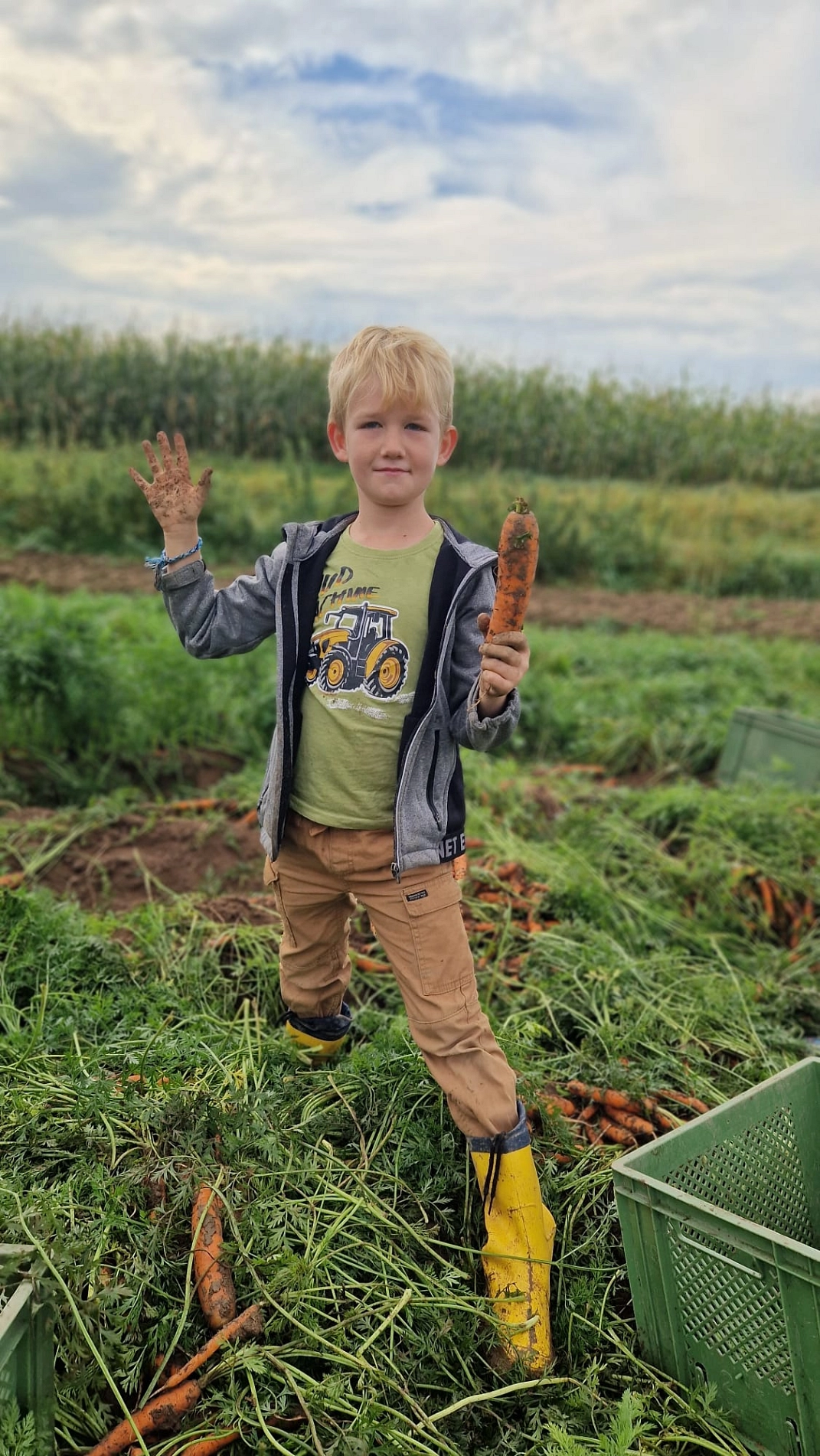 Marienhof 2024 (2).jpeg&nbsp;&copy;&nbsp;Ilsetalschule