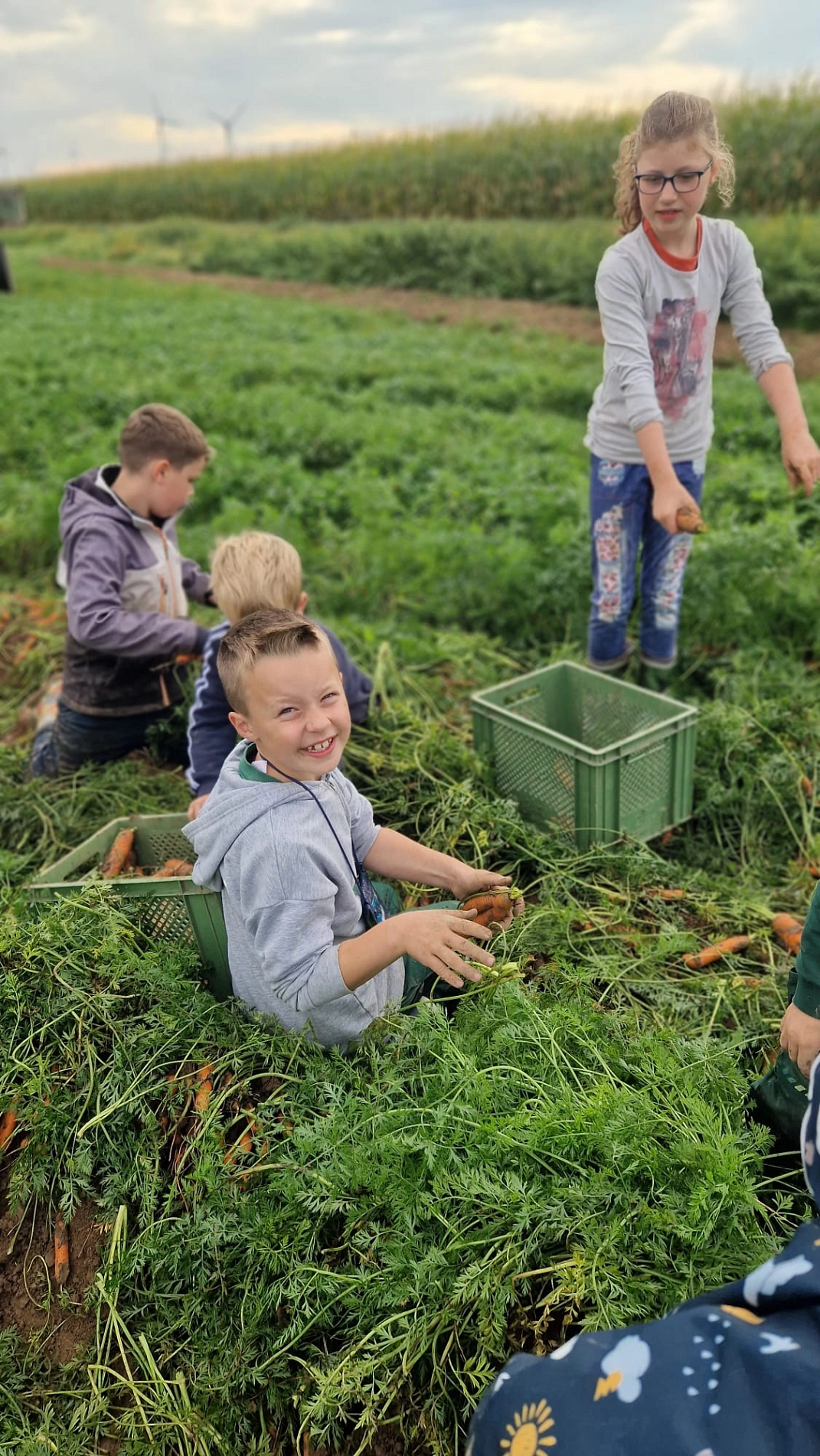 Marienhof 2024 (3).jpeg&nbsp;&copy;&nbsp;Ilsetalschule