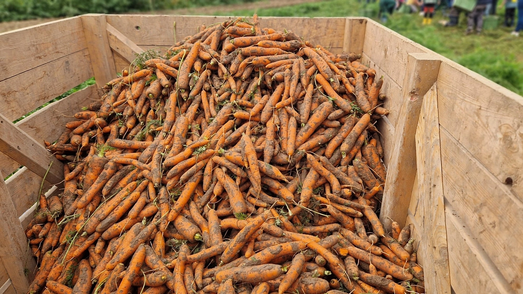 Marienhof 2024 (4).jpeg&nbsp;&copy;&nbsp;Ilsetalschule