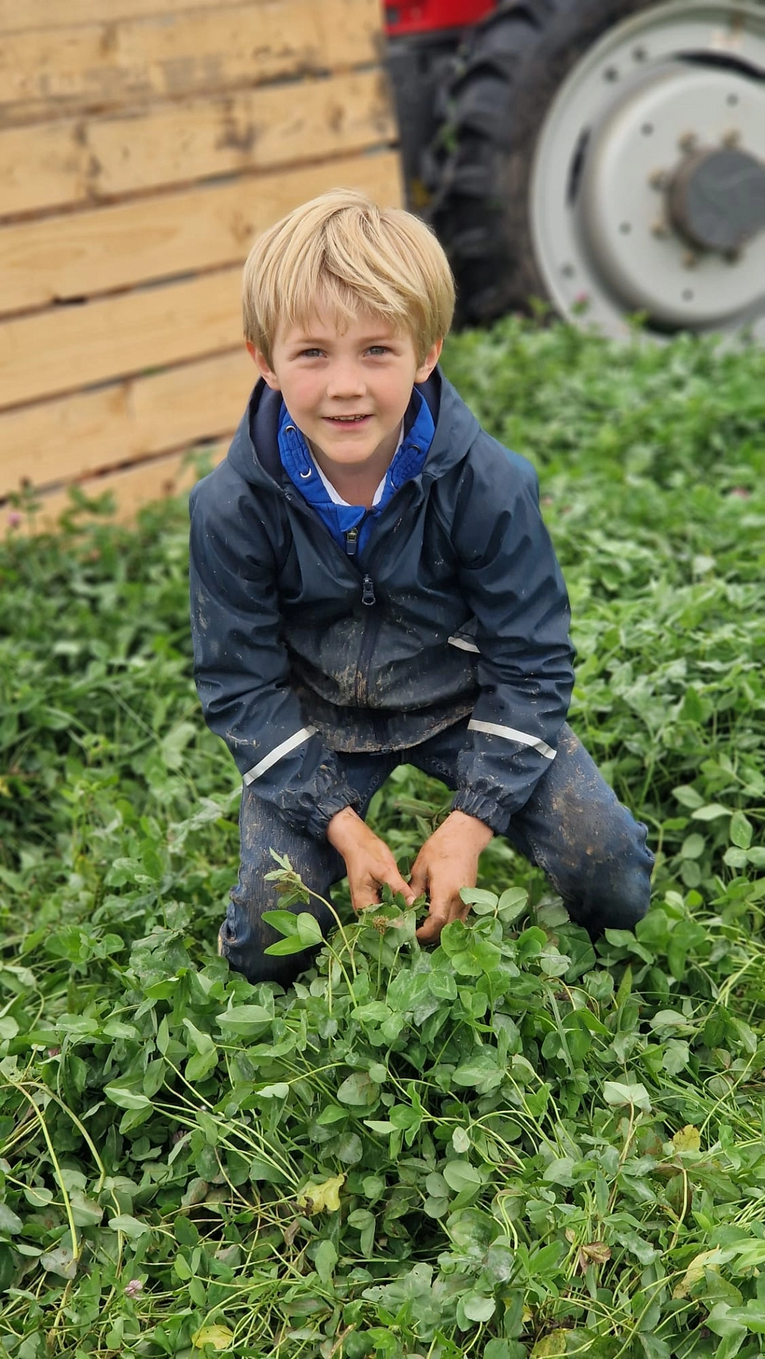 Marienhof 2024 (8).jpeg&nbsp;&copy;&nbsp;Ilsetalschule