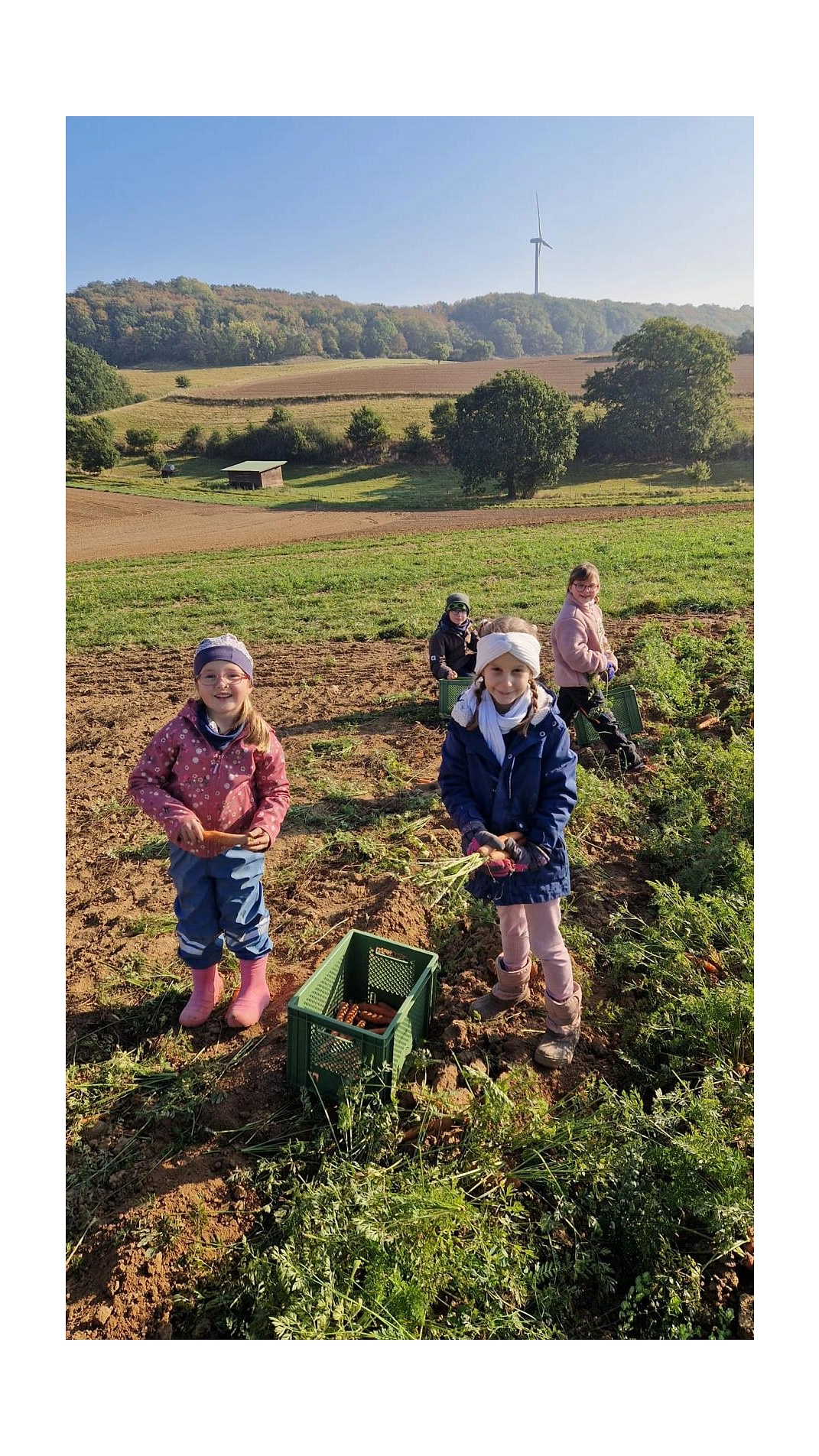 Marienhof 2025 10.jpg&nbsp;&copy;&nbsp;Ilsetalschule