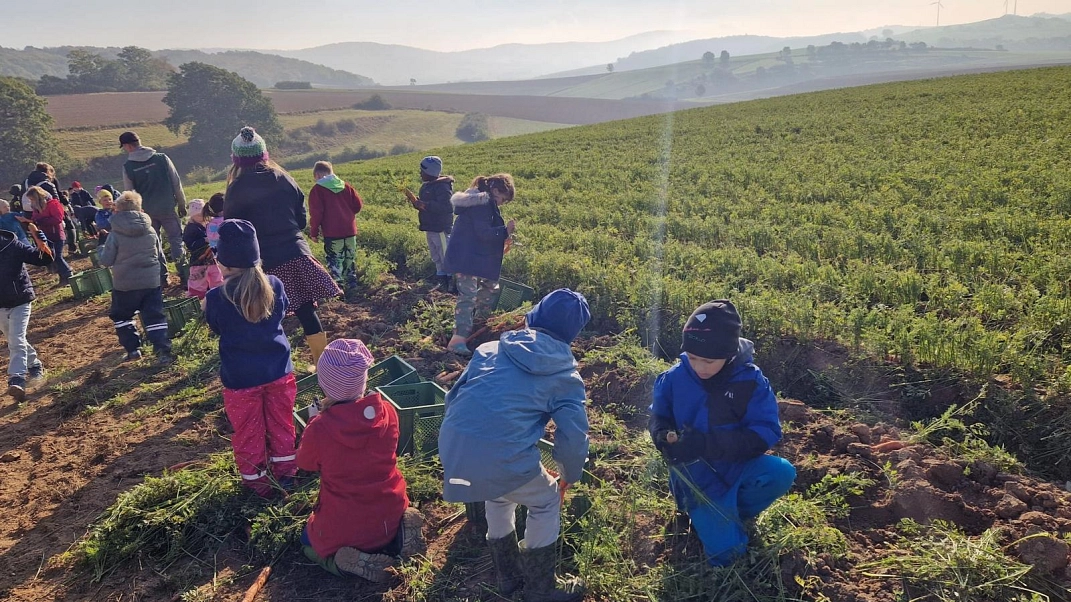 Marienhof 2025 13.jpg&nbsp;&copy;&nbsp;Ilsetalschule