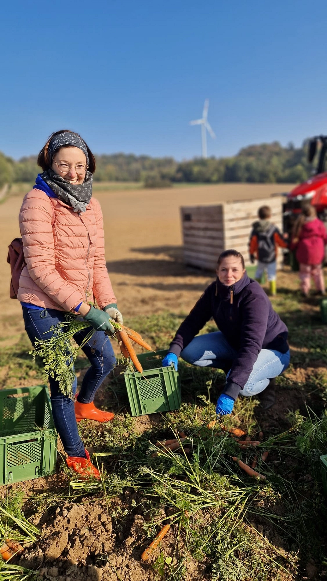 Marienhof 2025 16.jpg&nbsp;&copy;&nbsp;Ilsetalschule