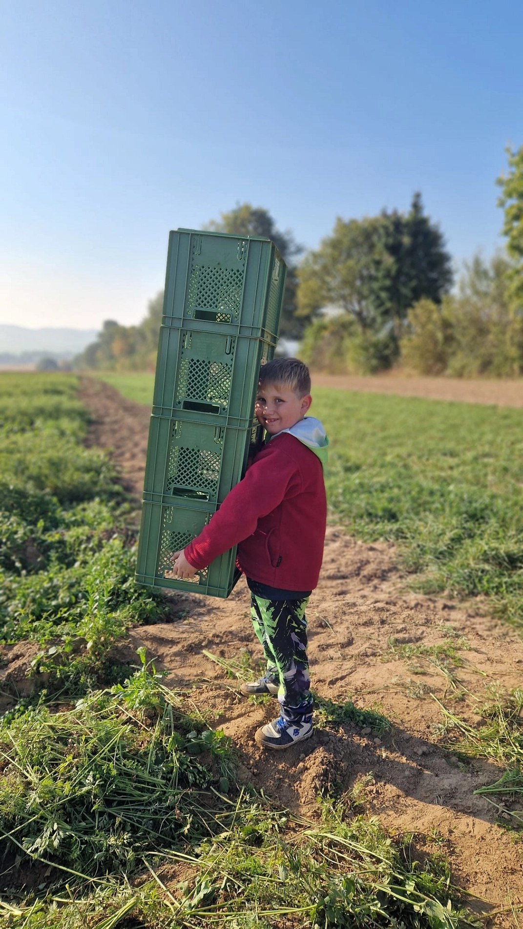 Marienhof 2025 17.jpg&nbsp;&copy;&nbsp;Ilsetalschule