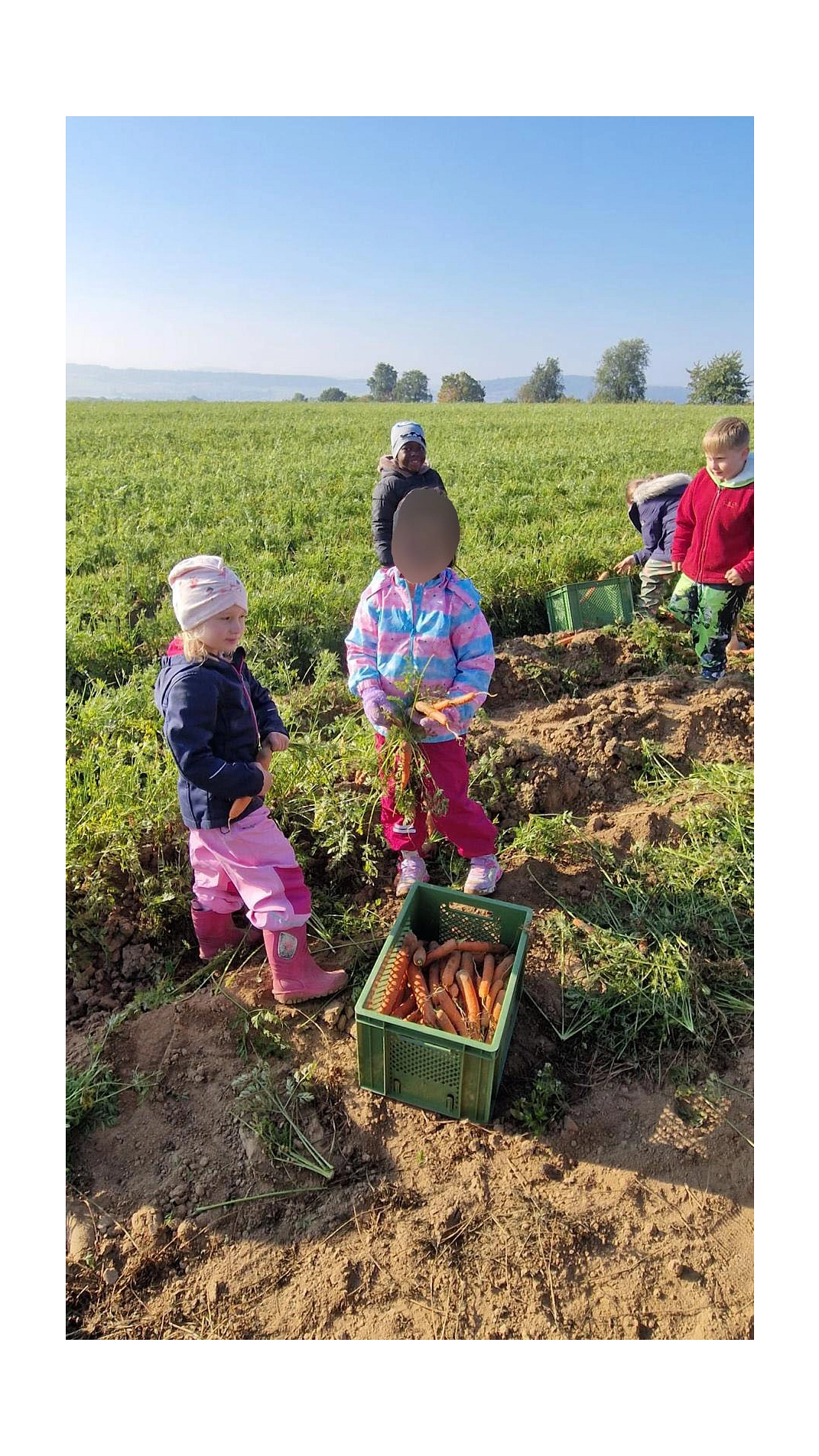 Marienhof 2025 1.jpg&nbsp;&copy;&nbsp;Ilsetalschule