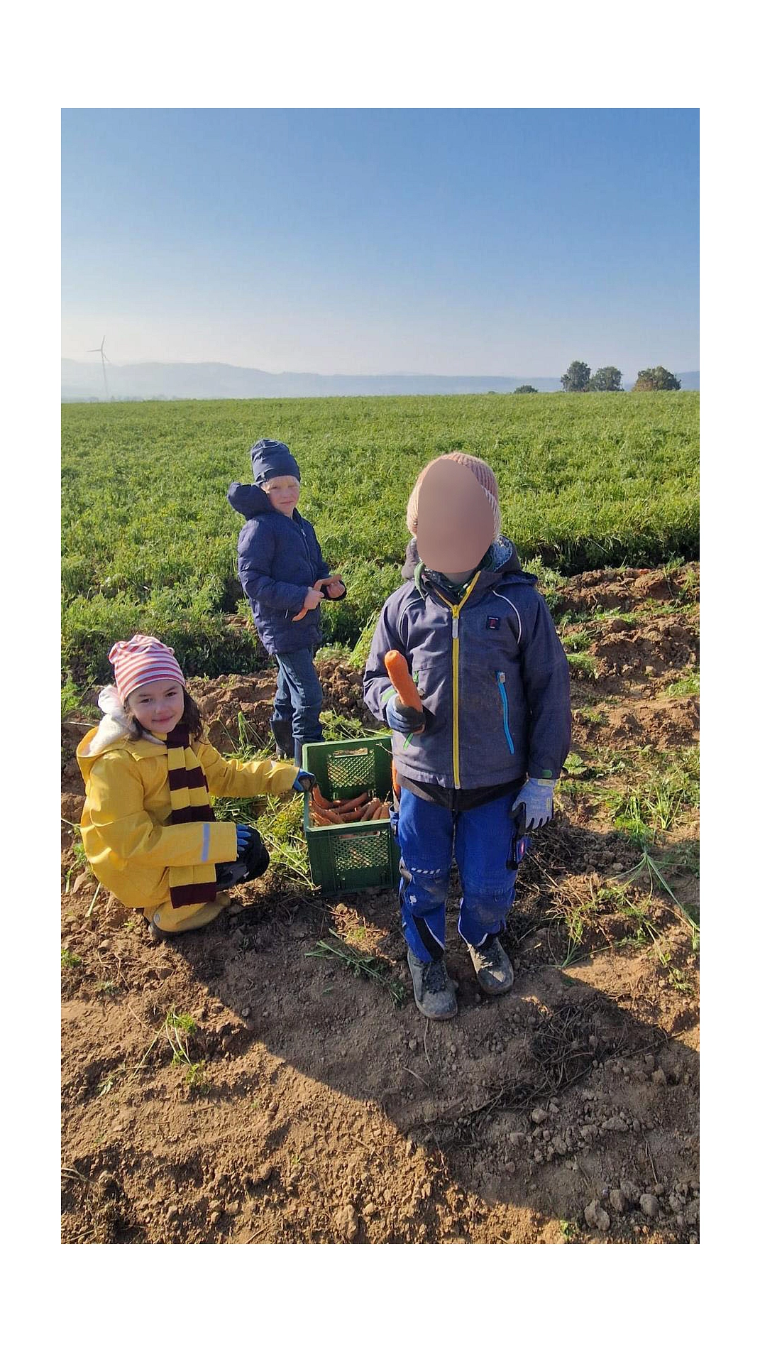 Marienhof 2025 2.jpg&nbsp;&copy;&nbsp;Ilsetalschule