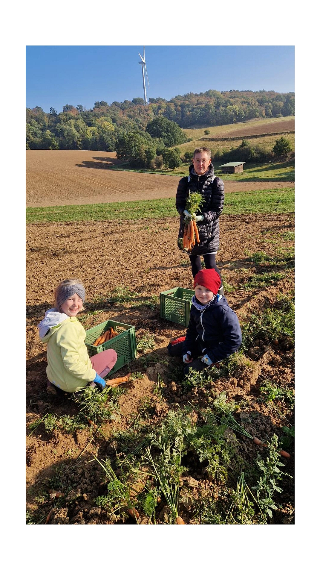 Marienhof 2025 6.jpg&nbsp;&copy;&nbsp;Ilsetalschule