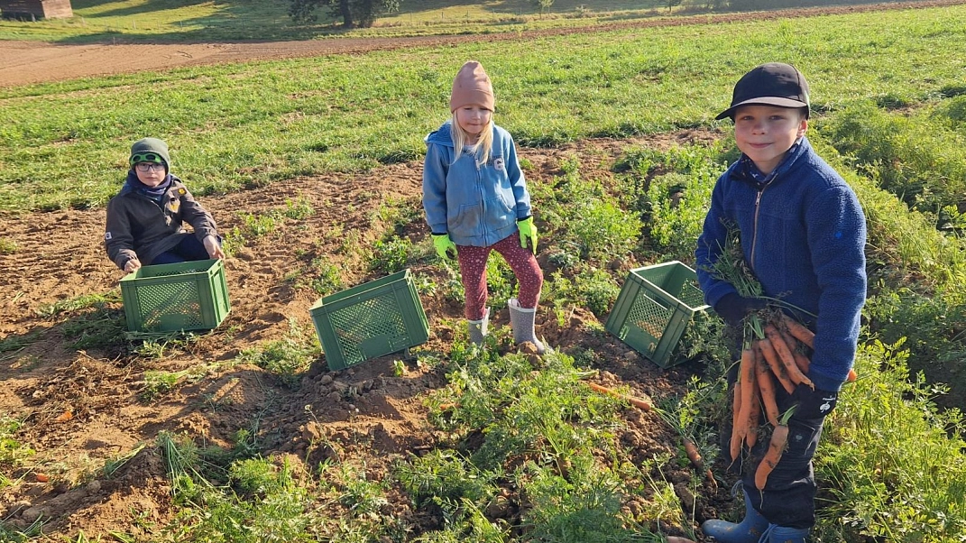 Marienhof 2025 8.jpg&nbsp;&copy;&nbsp;Ilsetalschule